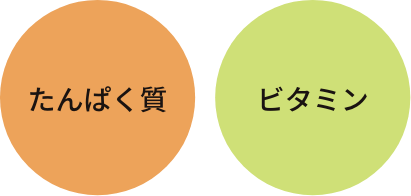 たんぱく質・ビタミン