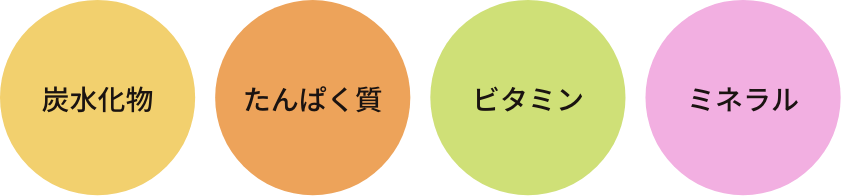 炭水化物・たんぱく質・ビタミン・ミネラル